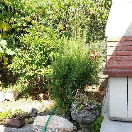 Apartament Andreina 1897